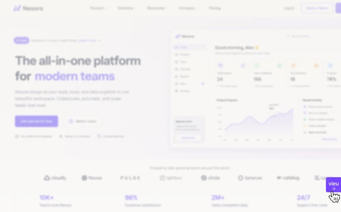 Website 2